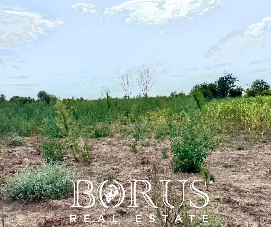 BorusRealEstate's tweet photo. Nel comune di Trentola Ducenta, nel contesto rurale di Truocciolo, l’agenzia immobiliare “Borus Real Estate” propone in vendita lotto di terreno di circa 6000 mq (un moggio e mezzo). https://t.co/Nxe8PKpTYD