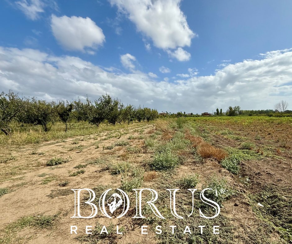 BorusRealEstate's tweet photo. Nel comune di Trentola Ducenta, nel contesto rurale di Truocciolo, l’agenzia immobiliare “Borus Real Estate” propone in vendita lotto di terreno di circa 6000 mq (un moggio e mezzo). https://t.co/Nxe8PKpTYD
