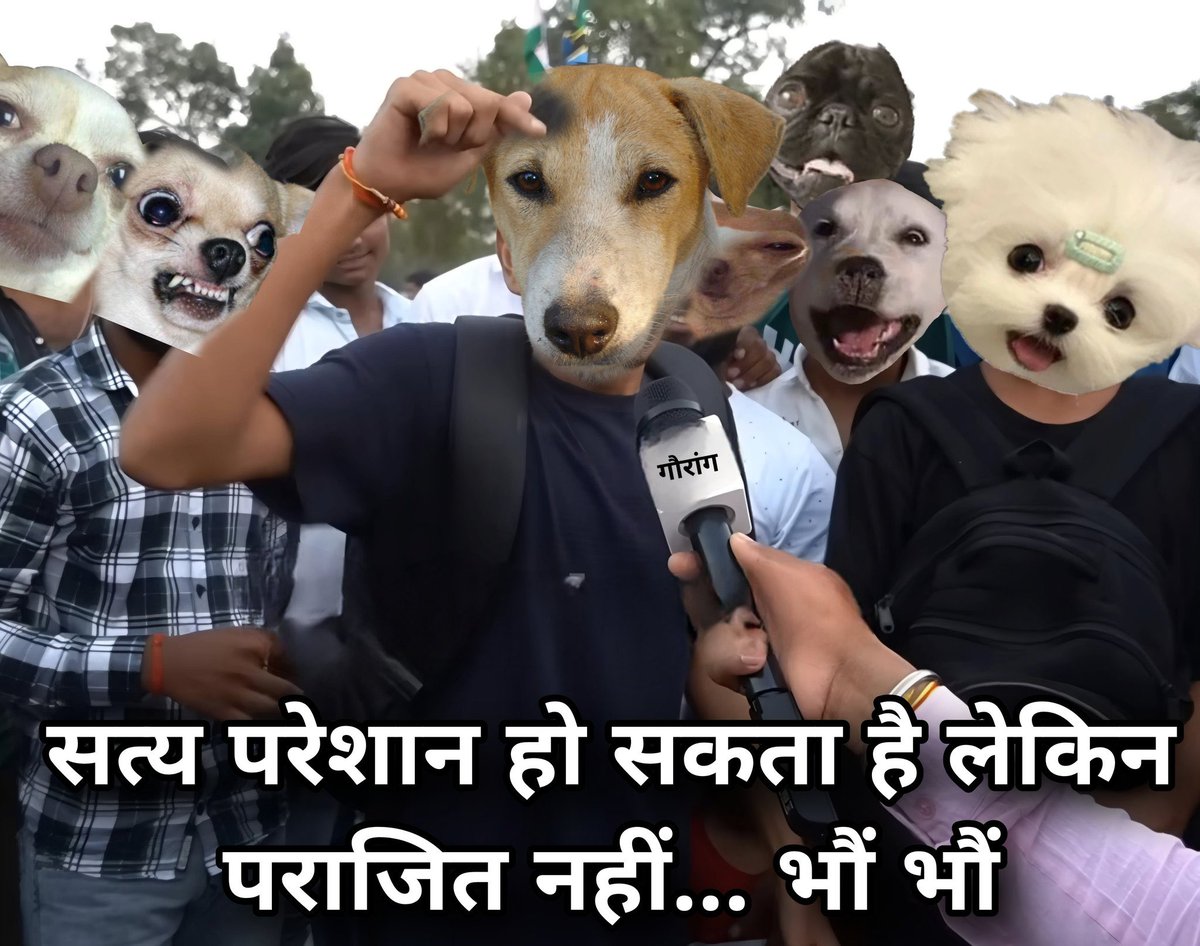 kalpeshbites's tweet photo. सुप्रीम कोर्ट के फैसले के बाद
डॉगेश गैंग 
#SupremeCourt https://t.co/skpfNlxhG7