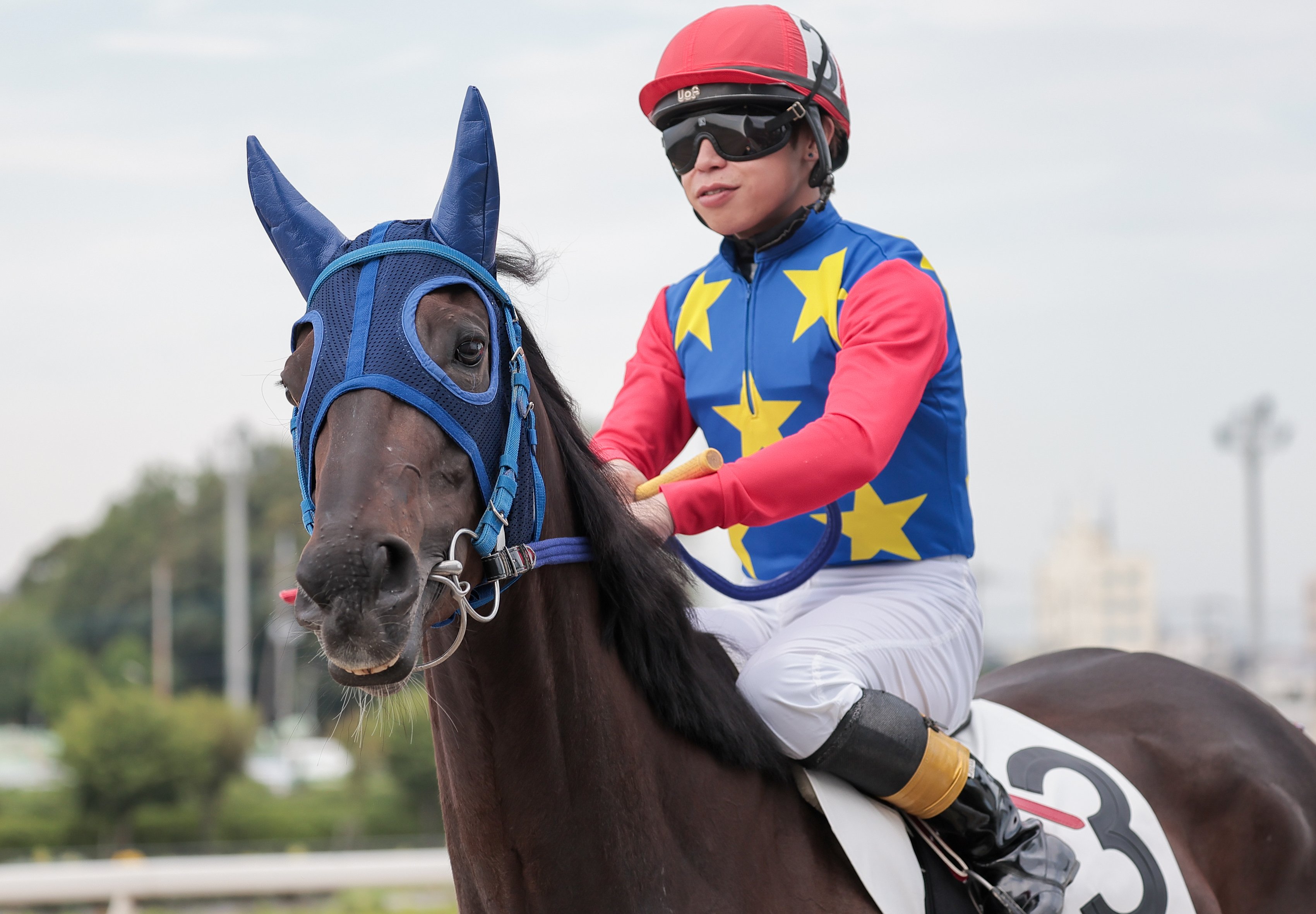 浦和競馬　勝負服　國分騎手サイン入り 71G7TdjIzxL._UF350,350_QL50_.jpg