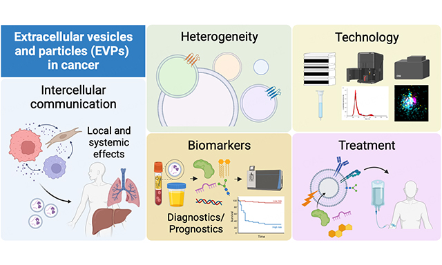 VesiclesAcids's tweet photo. ✨EV Focus！
📌 Title: #Extracellular Vesicles and Particles as Mediators of Long-Range Communication in Cancer: Connecting Biological Function to Clinical Applications
🚀 #EVPs reshape cancer signaling and organ crosstalk!
👉https://t.co/BkfpBcfzX3 https://t.co/pFxPVbea8p