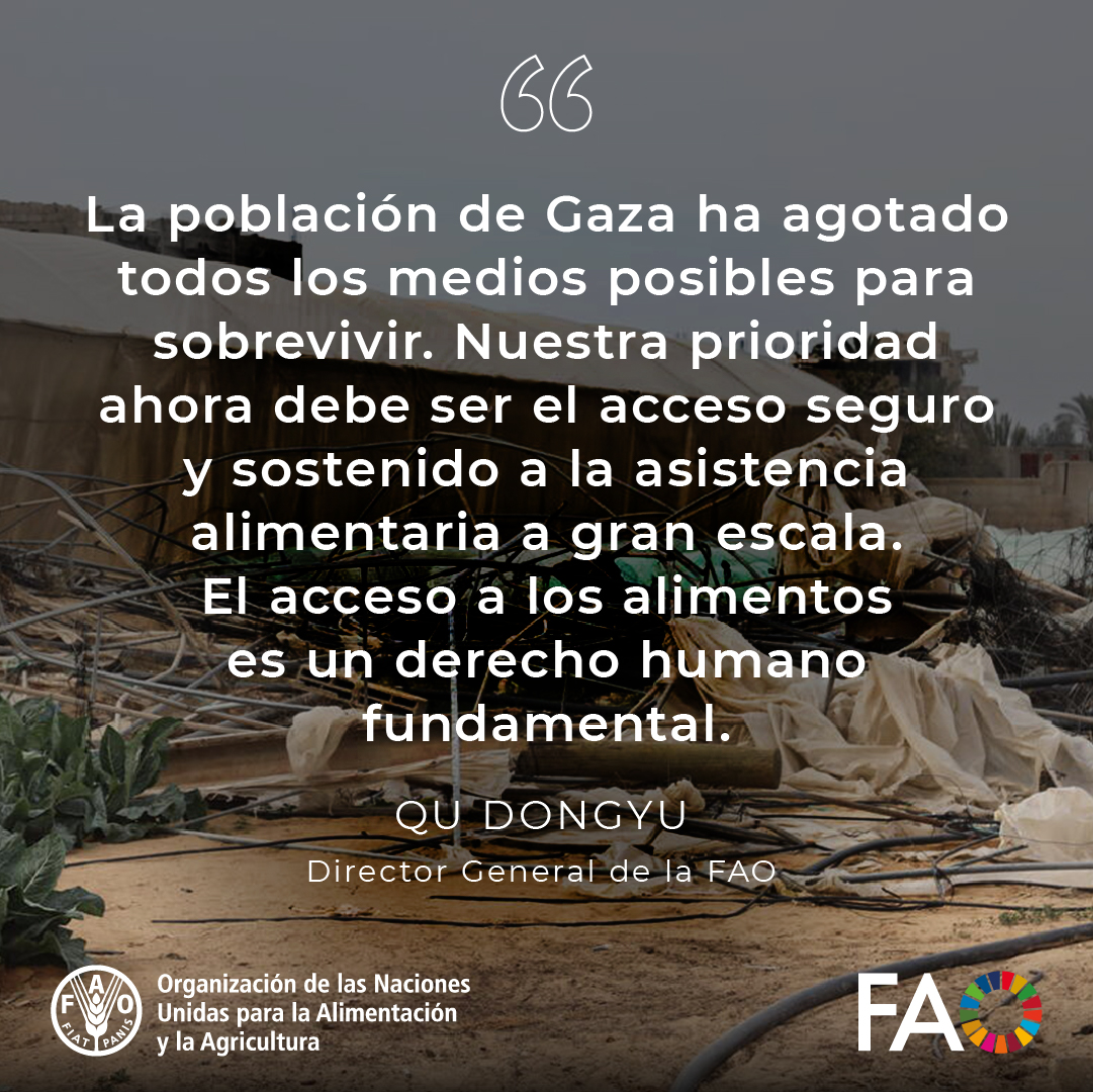 .<a href="/theIPCinfo/">The Integrated Food Security Phase Classification</a> confirma la hambruna en Gaza.

Más de 500.000 personas están afectadas y se prevé que la situación empeore.

<a href="/FAOenEspanol/">FAO en español</a>, <a href="/unicefenespanol/">UNICEF en español</a>, <a href="/WFP_es/">WFP Español</a>, <a href="/opsoms/">OPS/OMS</a> piden un alto el fuego inmediato y el acceso humanitario pleno para frenar las muertes por hambre.
