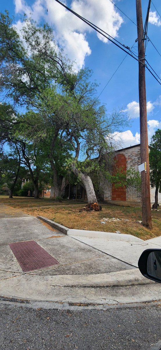 Avanza777's tweet photo. @SA311@COSAGOV Hi! Reporting a hazardous tree about to fall on public/common area at Petal 78216. Would appreciate your help to prevent any accidents. Thank you! #BexarCounty https://t.co/LL8XsBlVVx