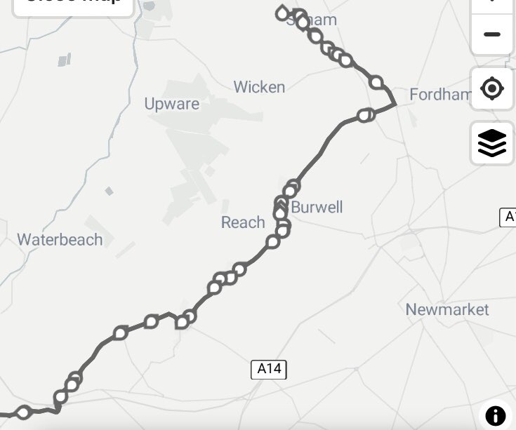 Mandy Knapp tweet media