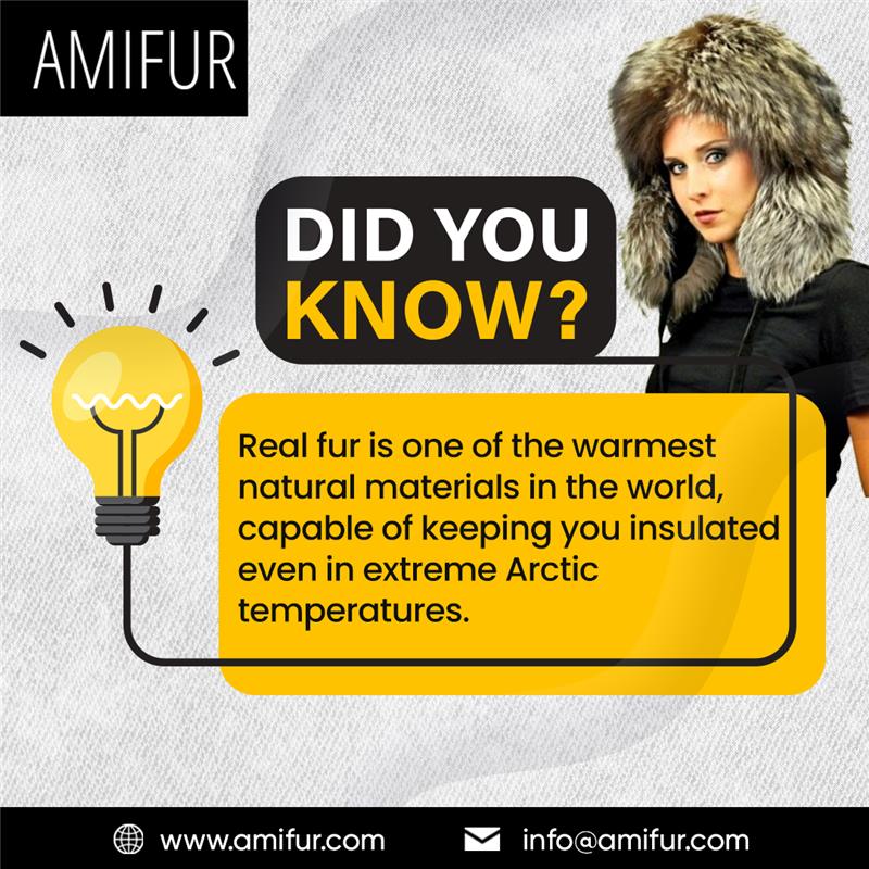 infoamifur9698's tweet image. ❄️✨ Did You Know?

Real fur isn’t just stylish—it’s one of the warmest natural insulators on Earth! 🐾

From Arctic explorers to luxury fashion lovers, fur has always been trusted to keep the cold away.

amifur.com

#LuxuryWarmth #CozyAndChic #RealFur #FurFacts