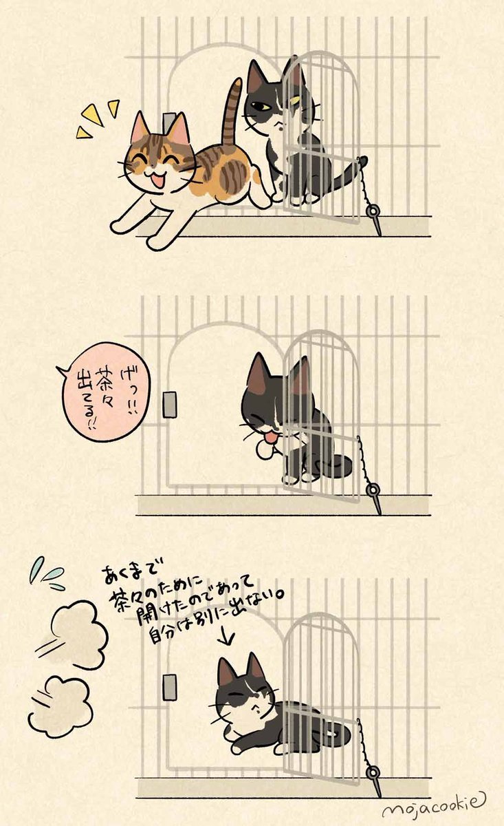 ちび猫※プロフ全文必読※2508W2 ちび猫※プロフ全文必読※2508W2 ちび猫 黒猫1｜大丸松坂屋