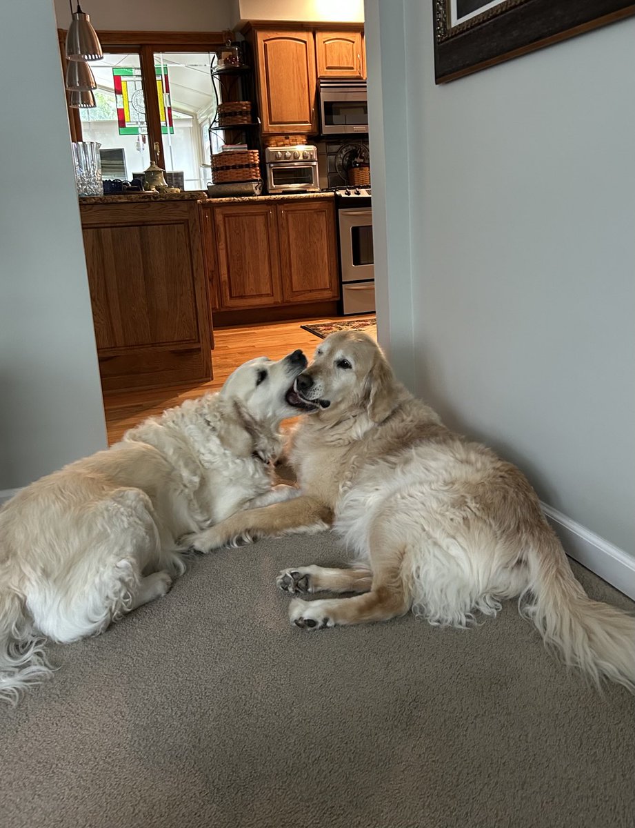 This was right after….holly shark attack 🦈 do🎶do🎶do🎵😑🤦‍♀️