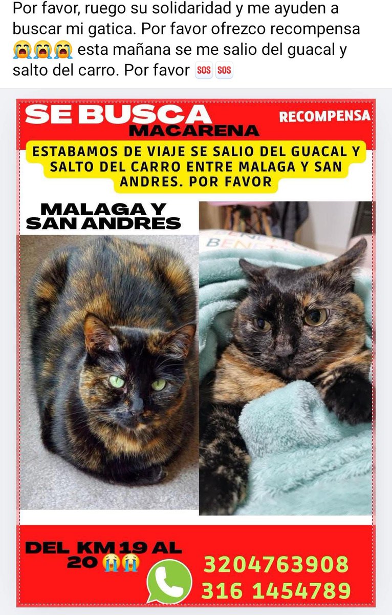 🆘️🆘️🆘️ POR FAVOR ME AYUDAN A BUSCARLA? # MALAGA SANTANDER ENTRE EL KM 19 Y 20. Les ruego me ayuden a difundir, debe estar asustada 😭😭😭😭