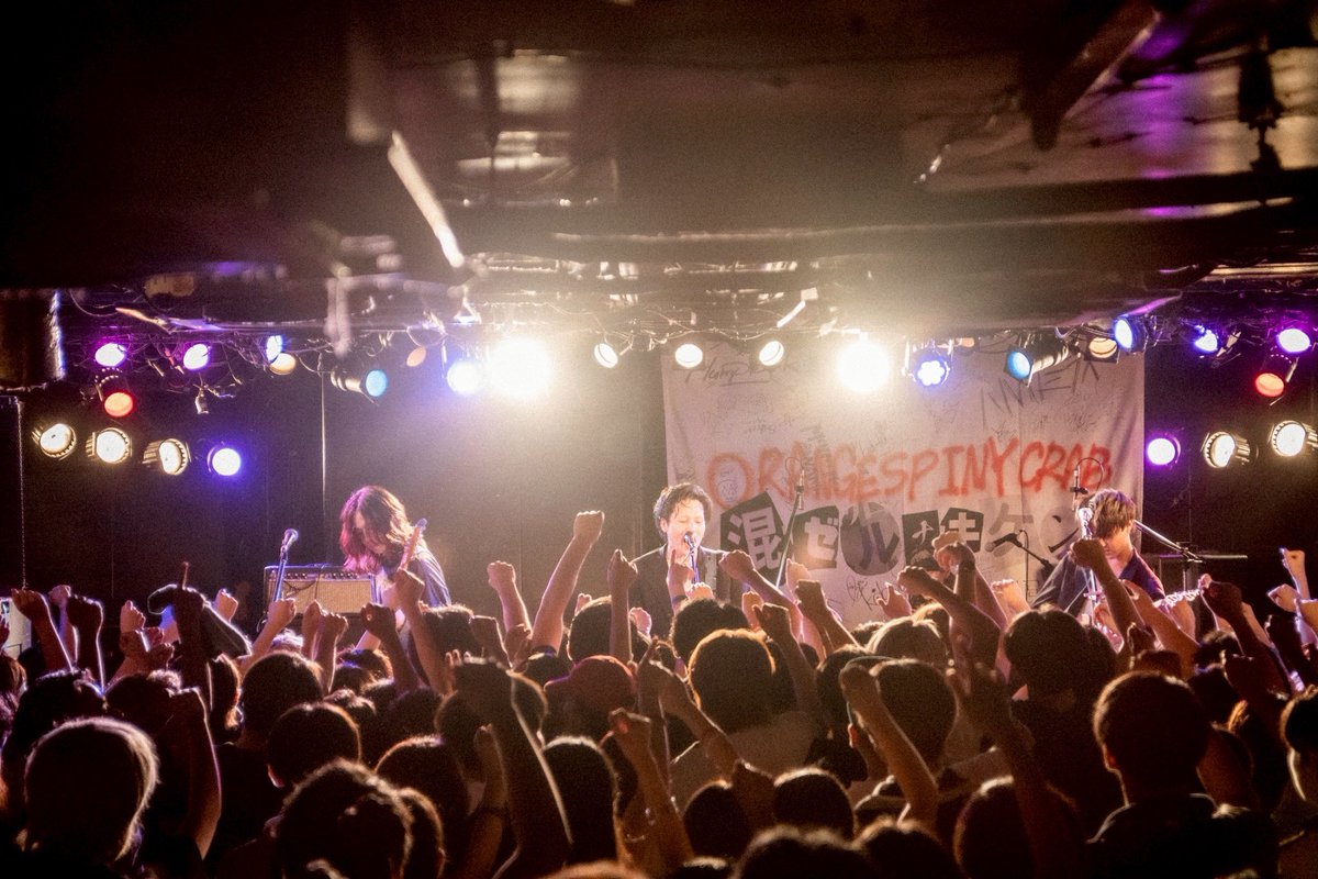 orangespinycrab's tweet photo. 【横浜 F.A.D YOKOHAMA】

8/21(木)
 「混ゼルのかい!?混ゼナイのかい!?
どっちなんだい!!ツアー」

📸Photo by もがみゆうな（@mogamiyuna ） https://t.co/PlZKFkhzl7