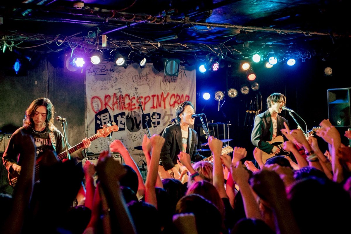 orangespinycrab's tweet photo. 【横浜 F.A.D YOKOHAMA】

8/21(木)
 「混ゼルのかい!?混ゼナイのかい!?
どっちなんだい!!ツアー」

📸Photo by もがみゆうな（@mogamiyuna ） https://t.co/PlZKFkhzl7