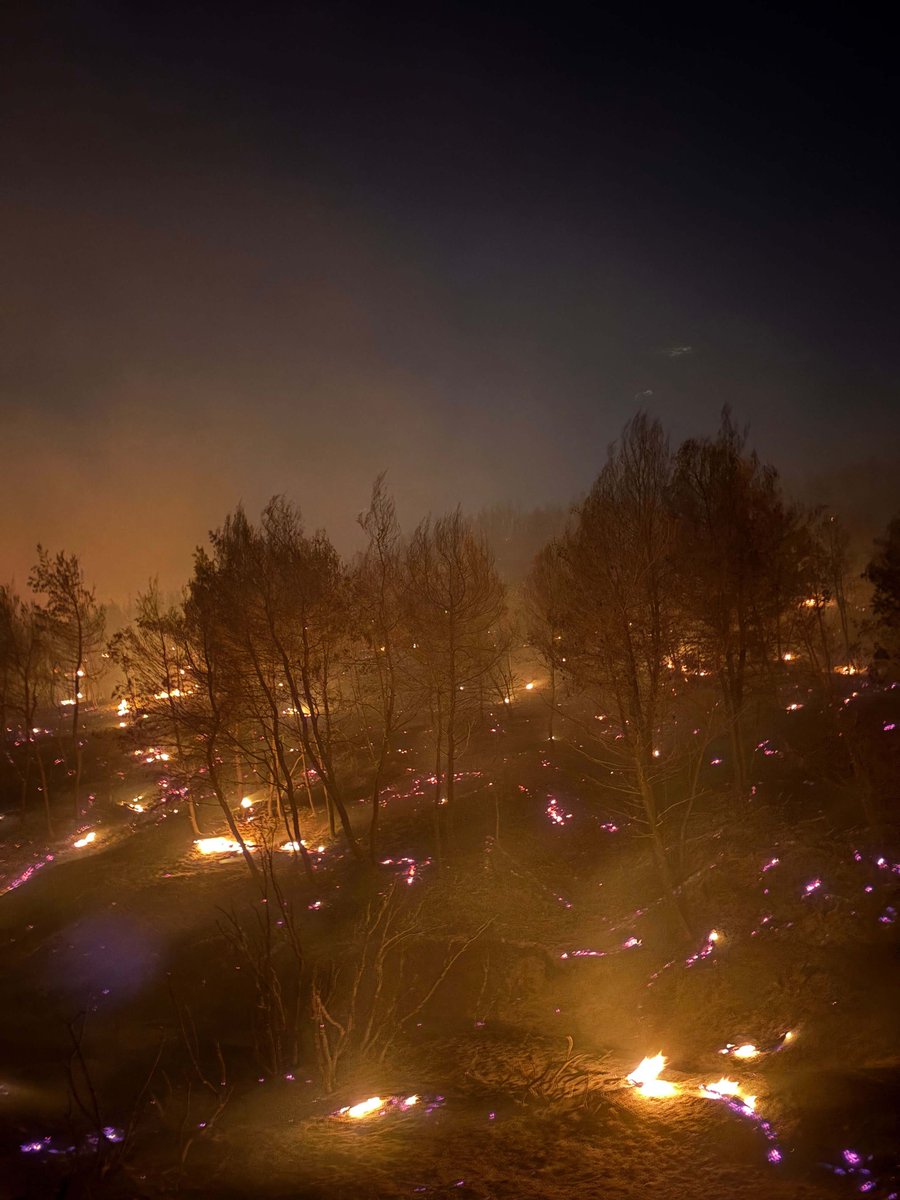 AnimalActionGr's tweet photo. 🎯 Hunting season is here — but after this summer’s wildfires, Greece’s wildlife can’t take another blow. 🌱🦉🌍

We join orgs across Greece urging @YpenGr to suspend hunting so ecosystems can heal and wildlife can recover. #StopTheHunt #GreeceWildfires https://t.co/njTubp2vPl