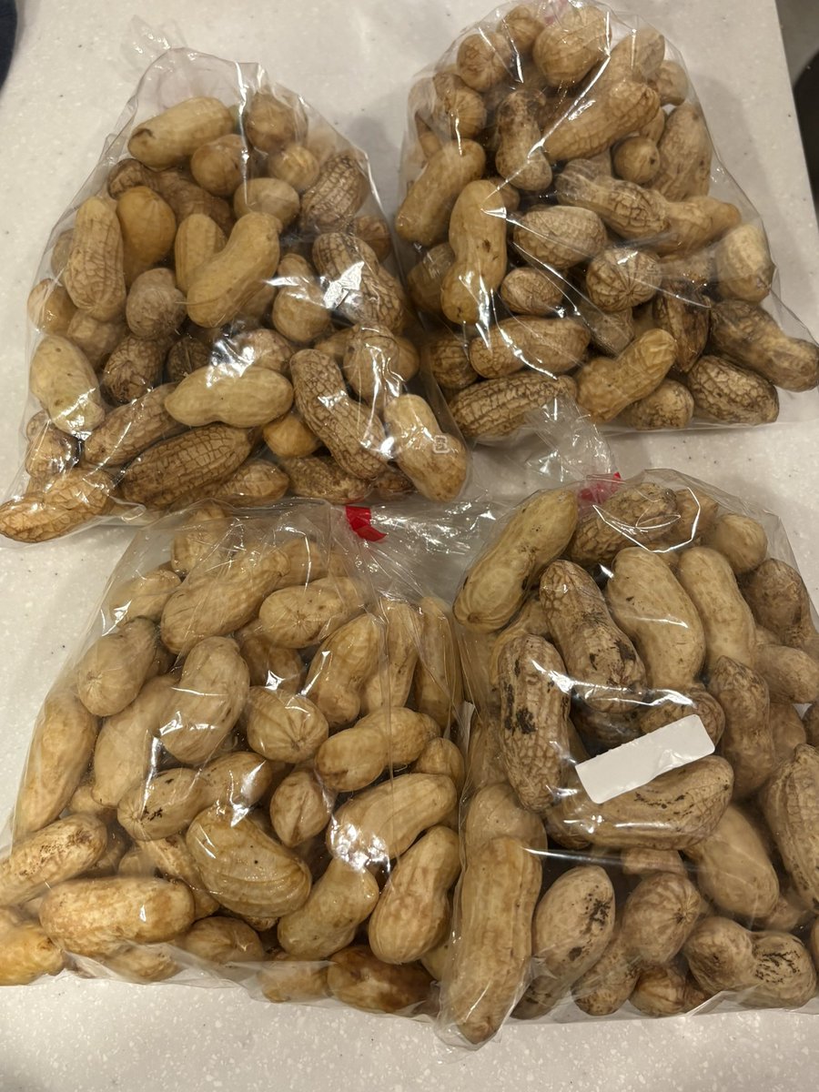 キャラメルプリン (@sky_caramel_pud) / Posts / X