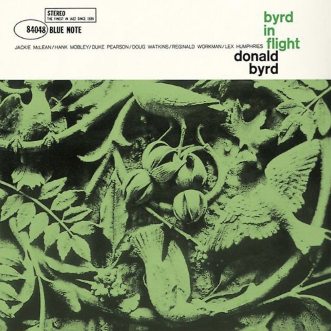 shin49404129's tweet photo. ▶︎"Ghana"(‘60) Donald Byrd◀︎
#HBD🎂 #LexHumphries🥁
Lex Humphries (ds)
Donald Byrd (tp)
Hank Mobley (ts)
Duke Pearson (p)
Doug Watkins (b)
https://t.co/tzwsVkRGW2 @YouTube https://t.co/Bt4bP4j14Y