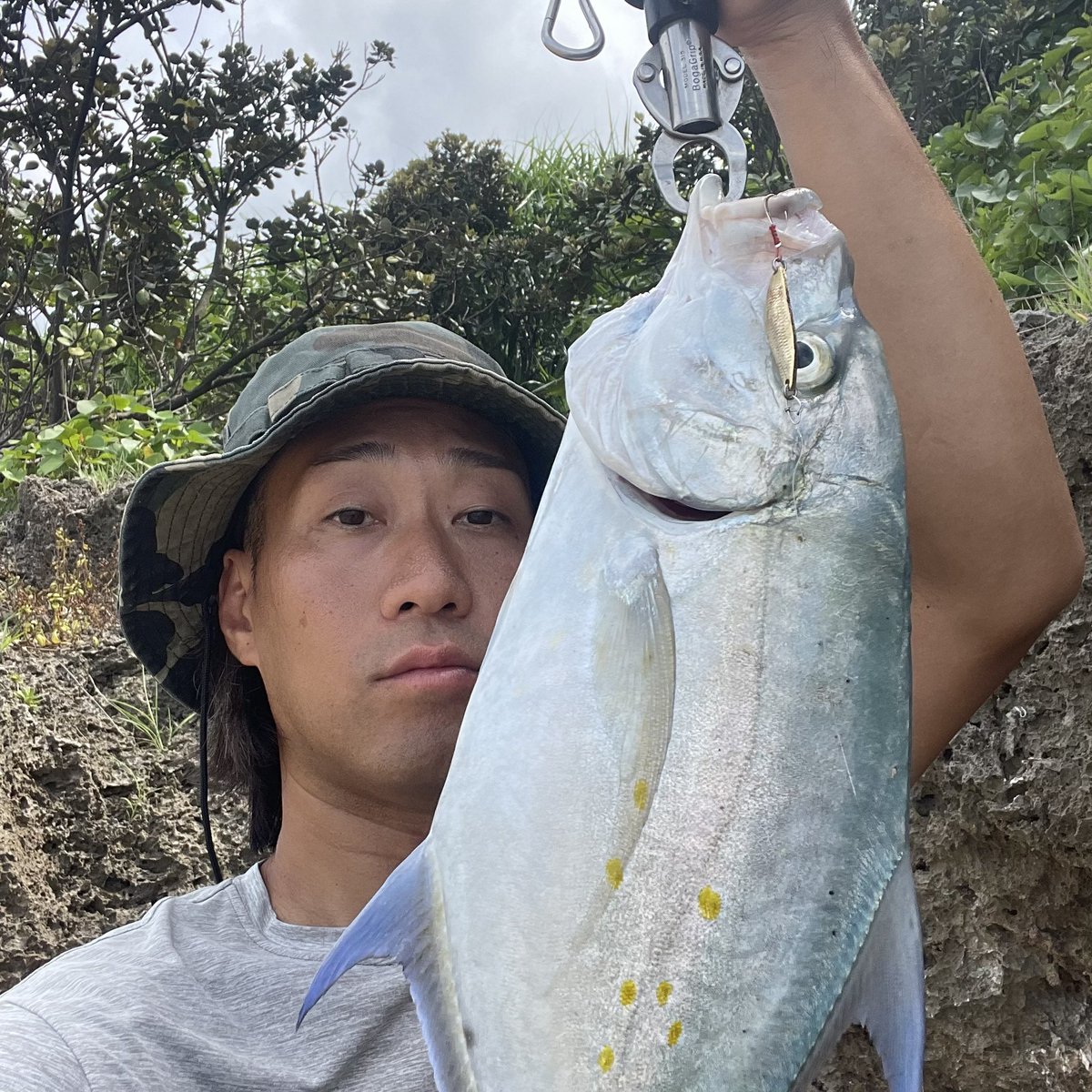 大西 慎太郎 tweet media