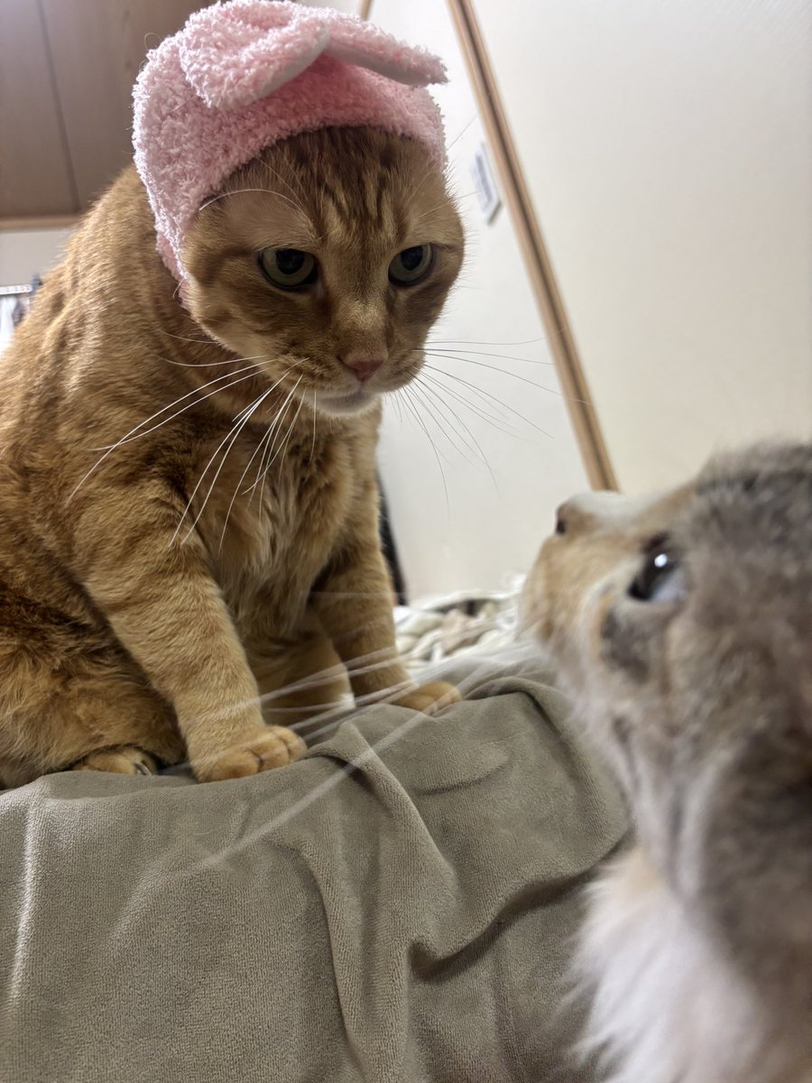 takutanu310's tweet photo. 対自核
＃LookatYourself https://t.co/m9nWSIBrjm