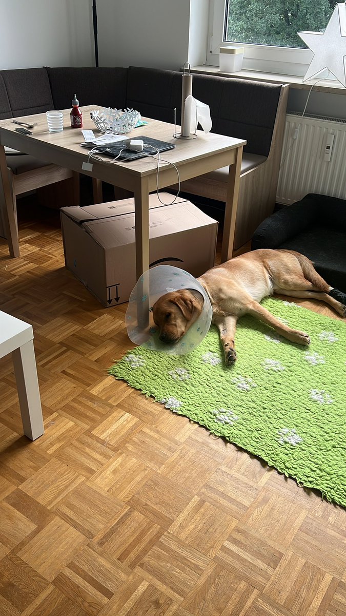 Trichterbär gefällig?! 

🦮🦮💚💚
#DieSchneehunde