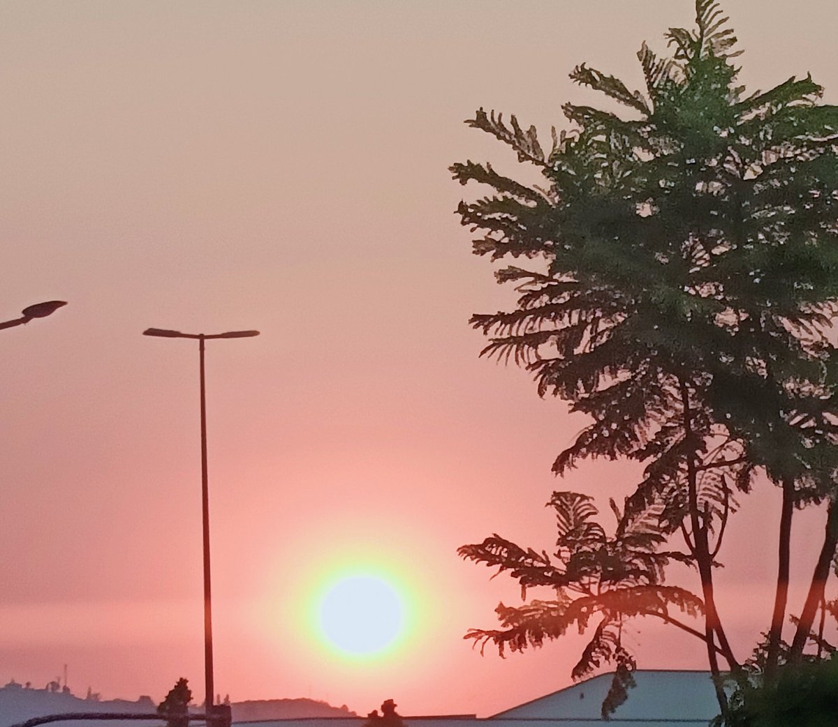 Peter (@pedrorodrguezj7) on Twitter photo 