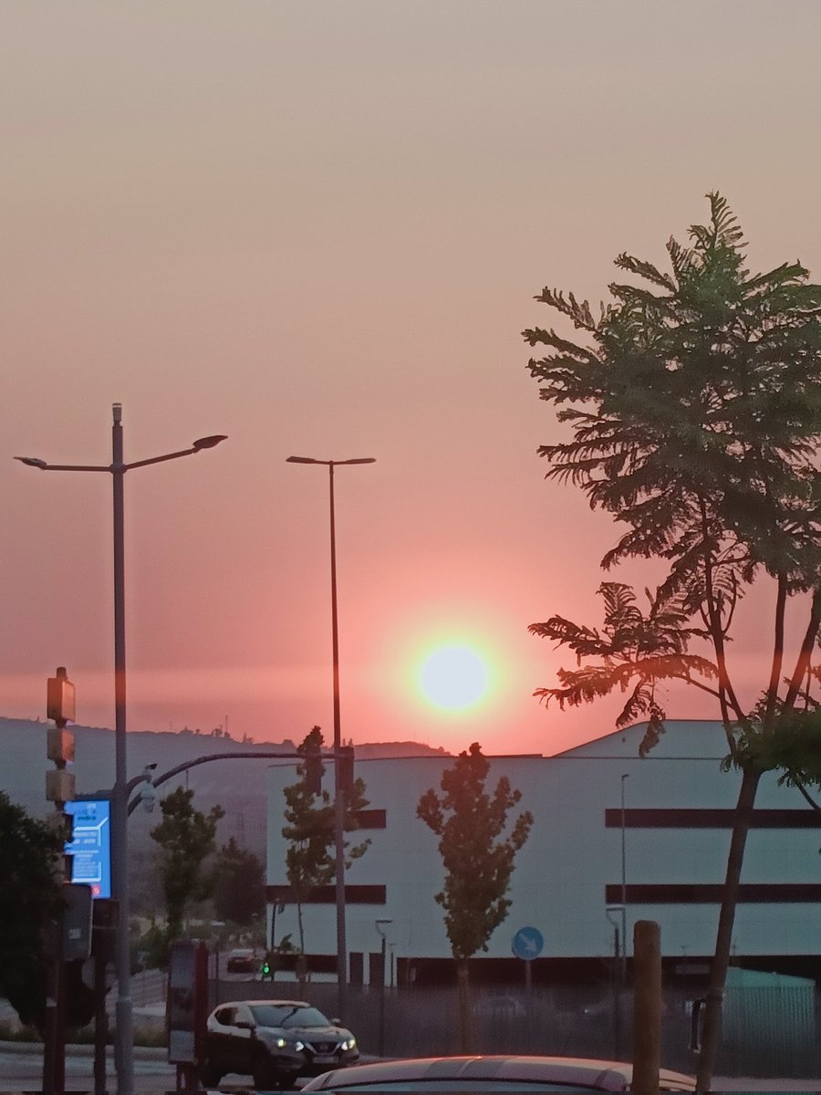 Peter (@pedrorodrguezj7) on Twitter photo 