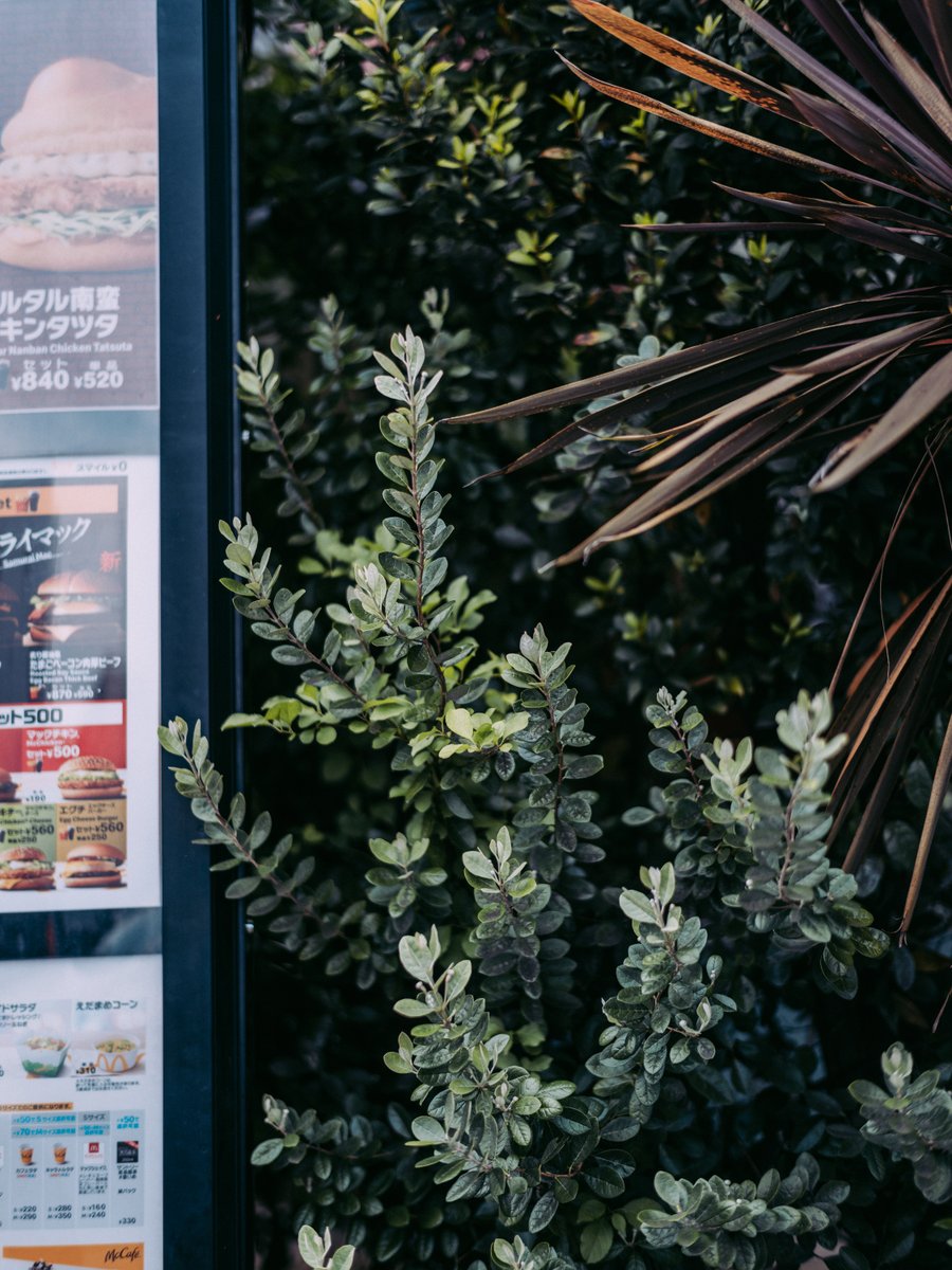 modulelab0's tweet image. drive through  #filmlook #cinematiccolor #colorgrading #photography #videography #gfx100s