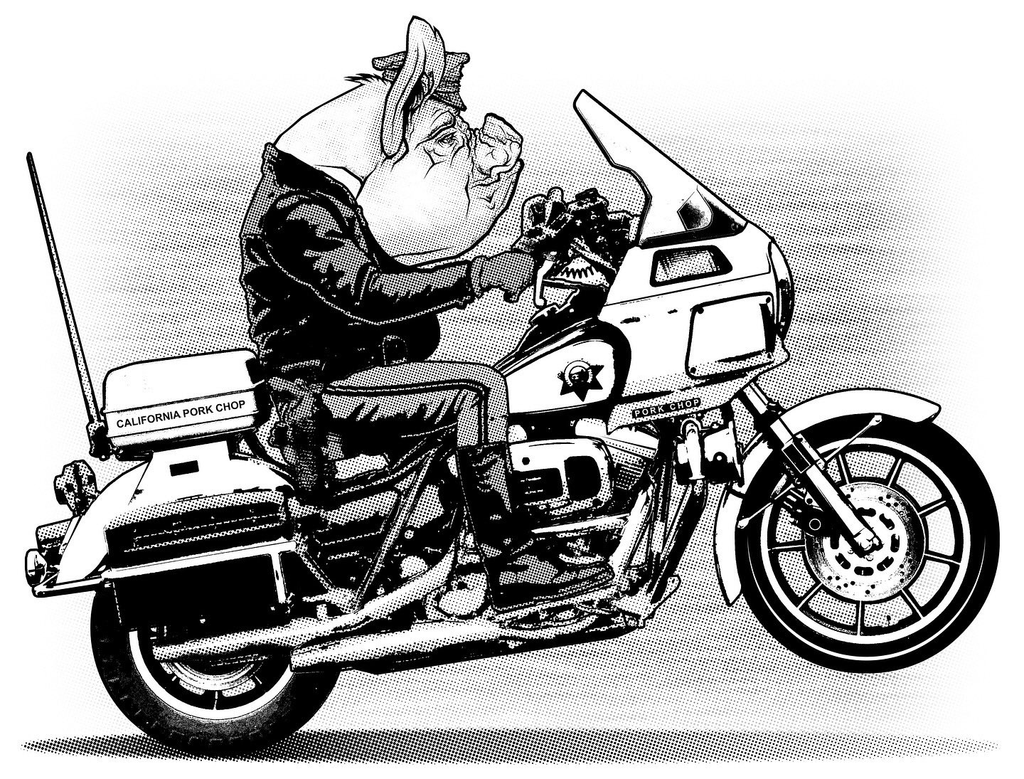 なかじまページ 2012 Kawasaki ZX1400ECF NINJA ZX-14 - 1441cc Prices and