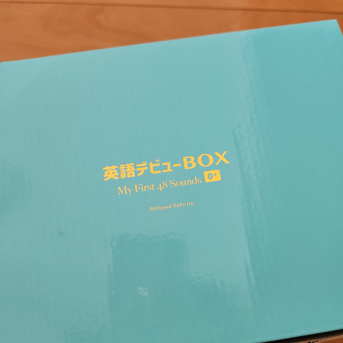 英語デビューbox - Search / X
