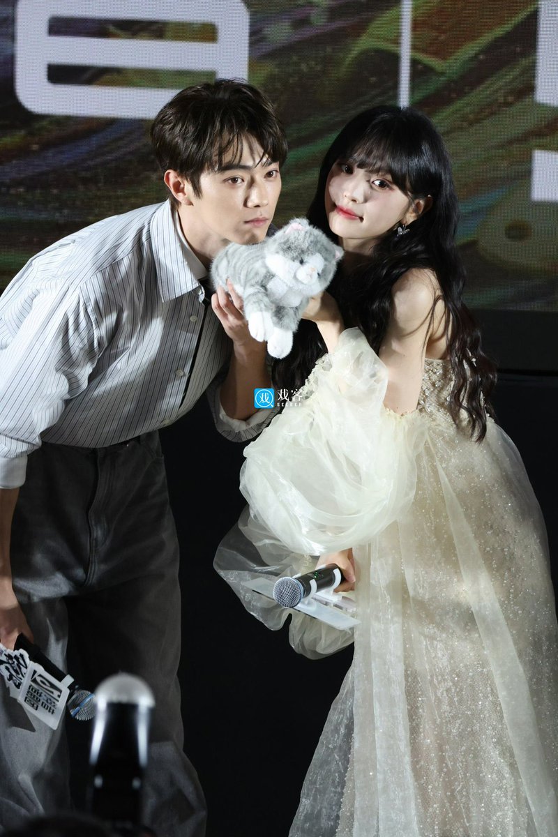 ตงหยาง tweet media