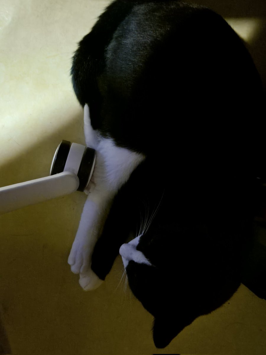 ...꽉껴 움직일수없어