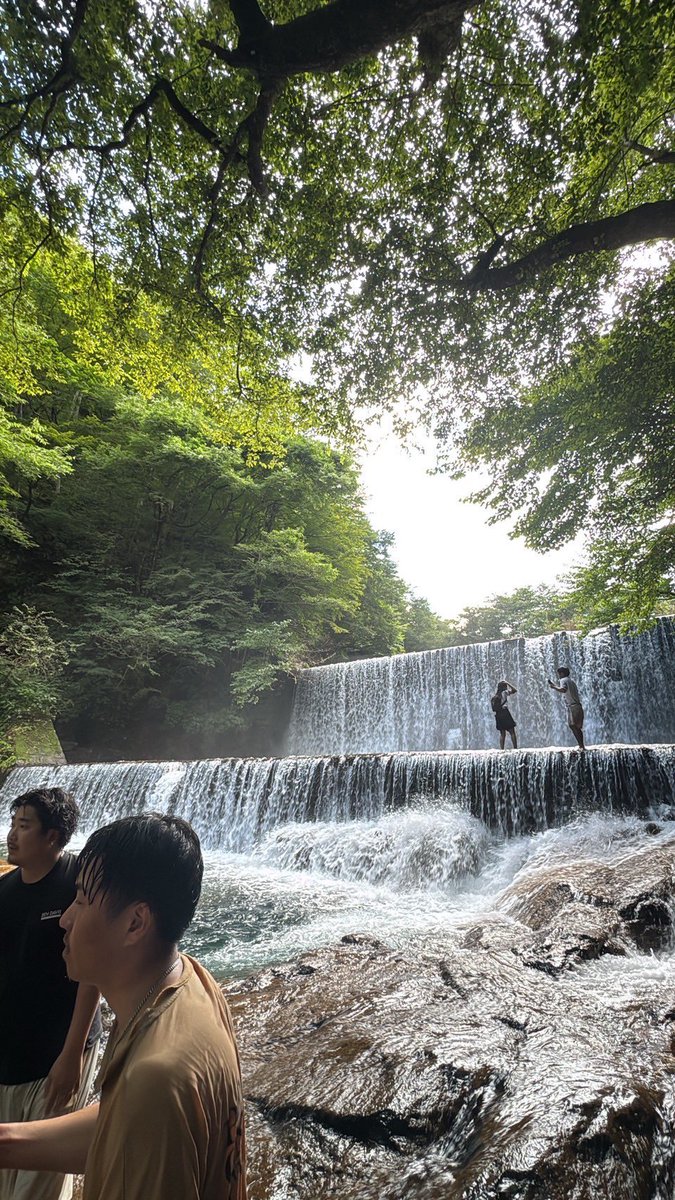 吾輩はにゃんこ tweet media