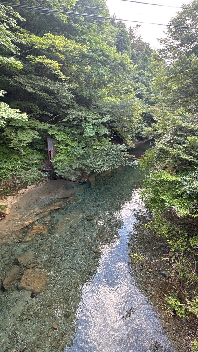 吾輩はにゃんこ tweet media