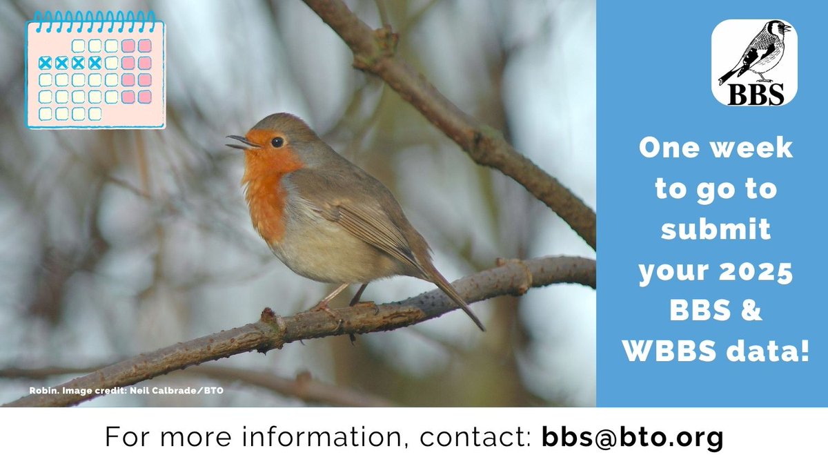 Breeding Bird Surveys tweet media