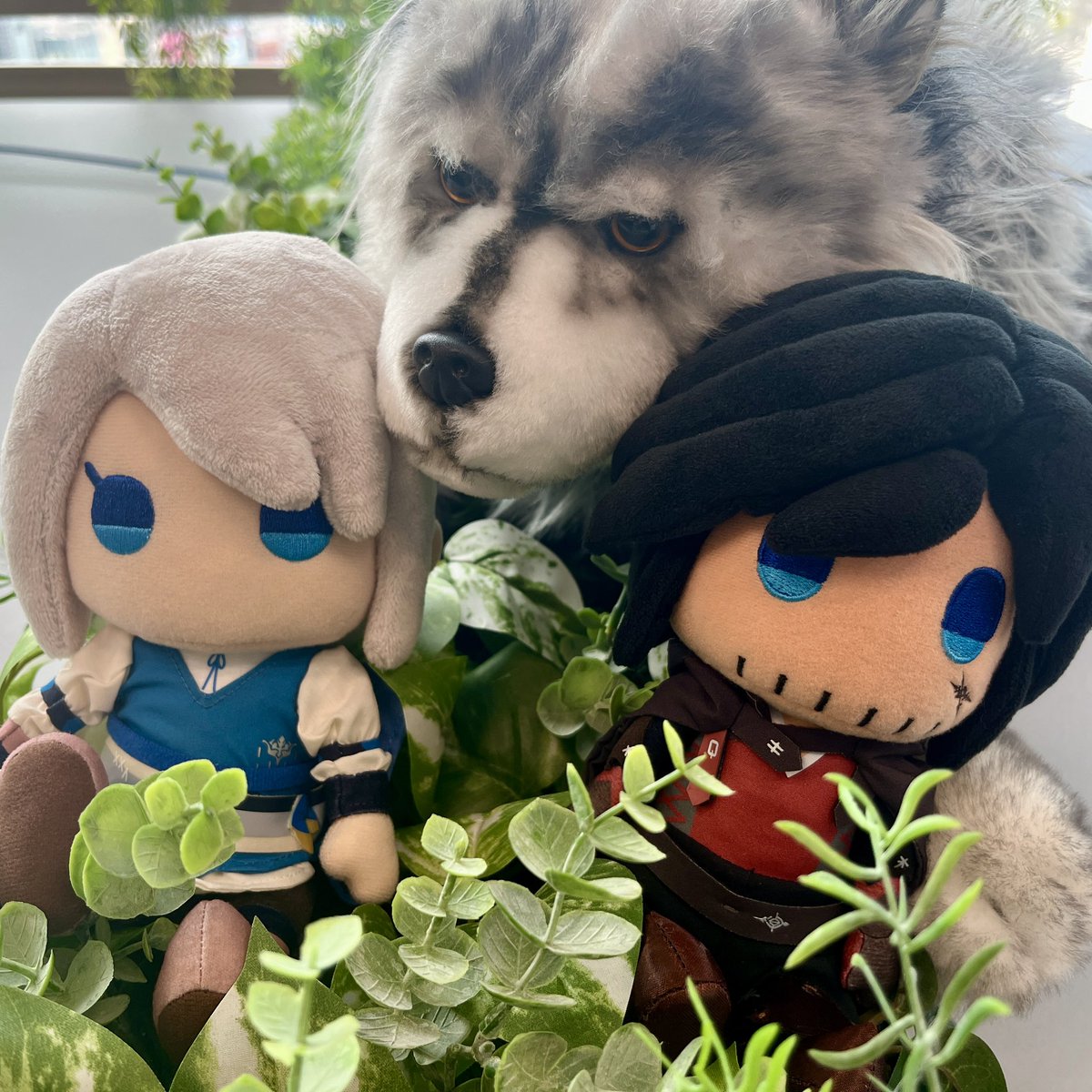 ✦•┈┈┈┈┈┈┈┈┈┈┈┈┈┈
#FF16 ぬいぐるみ2種 本日発売！
┈┈┈┈┈┈┈┈┈┈┈┈┈┈•✦

クライヴとジルのぬいぐるみが本日発売！
かわいらしくディフォルメされたふたりのぬいぐるみは要チェックです🔥❄

🔗sqex.to/V7wJQ