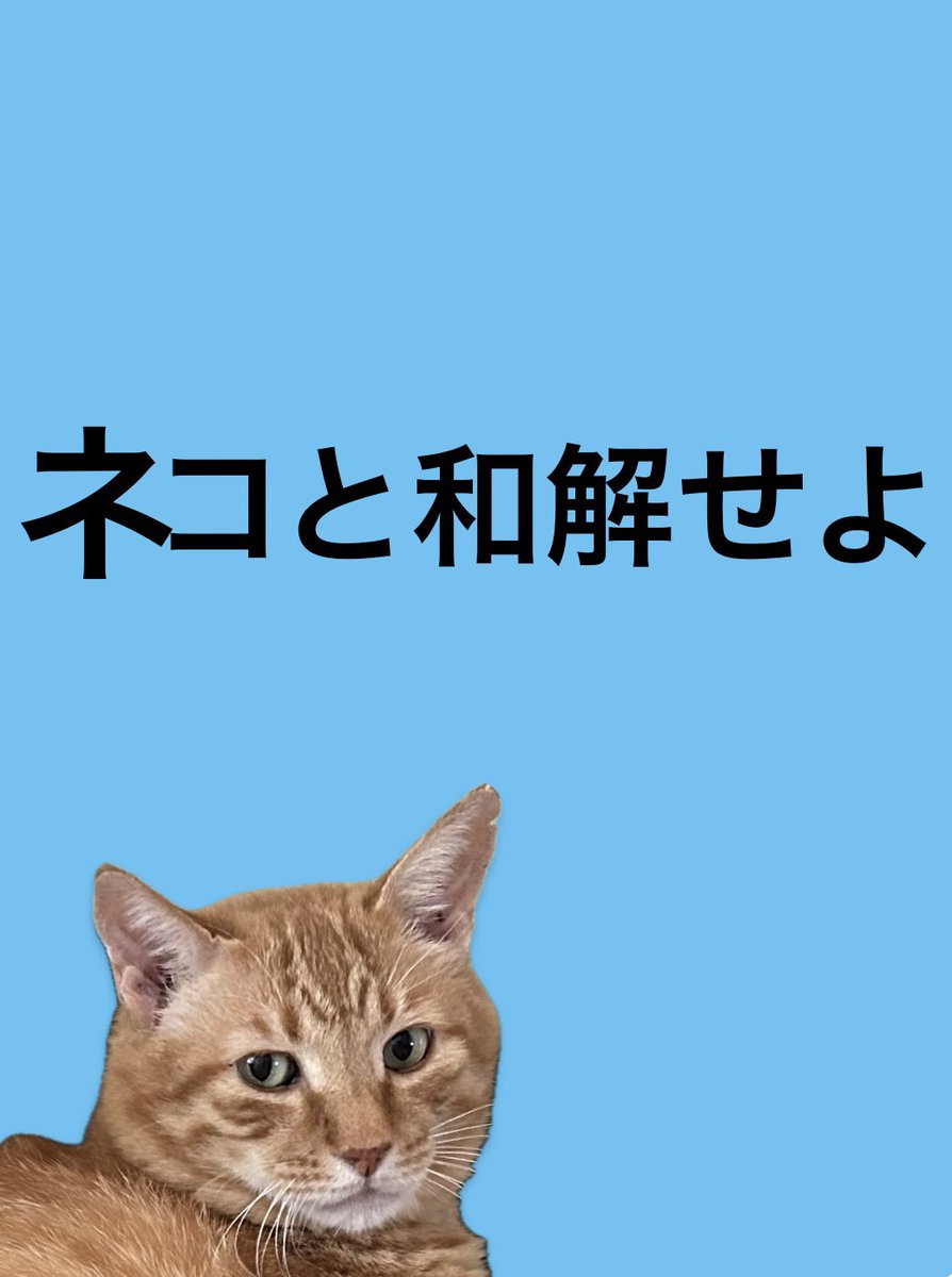 猫と和解するにはどうしたらいいの。
これまで犬3頭と暮らしてきたがケンカしてもその日のうちにまた仲良しに戻ってた。
少しずつだけど竹虎も軟化していて今日は残像を残さず普通に歩いてる。でもしっかりと私を遠ざけていて、シャーはしないが私を赦さないぞという顔で見てる。そして3年が過ぎそう。