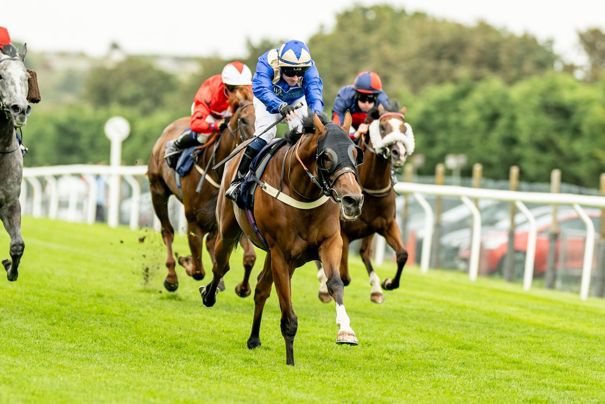 Brighton Racecourse tweet media