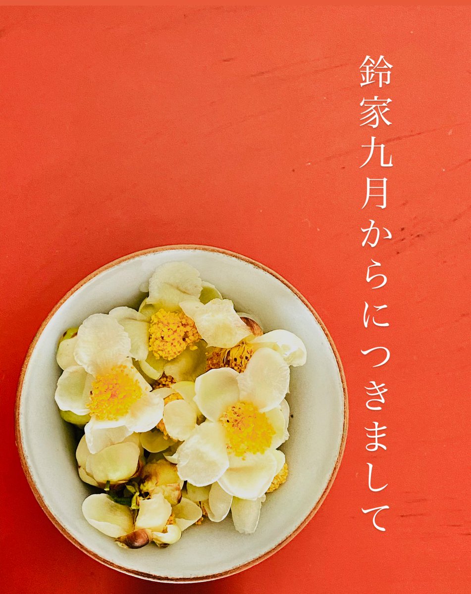JINPRODUCT's tweet photo. 鈴家九月からにつきまして

皆さまにご報告とご案内です。

鈴家・澄川鈴は2025年9月より一年間中国政府奨学金の普通進修生として安徽農業大学に留学します。

しばらくは、ほとんどのsnsが使えません。更新も滞りますことと、ご連絡いただいても返信できかねます。 https://t.co/SC7sNneYw4