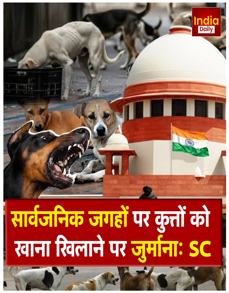IndiaDaily_24X7's tweet photo. SC ने कहा, कुत्तों को निर्धारित जगह पर दिया जाएगा खाना, सार्वजनिक जगहों पर कुत्तों को खाना खिलाने पर जुर्माना.   

#supremecourt #straydogs #dogfeedingrules #publicplacesban #animalwelfare #scverdict #dogfeedingfine #delhinews #ncrupdates #straydogpolicy #latestnews #breakingnews #indiadailylive #indiadaily