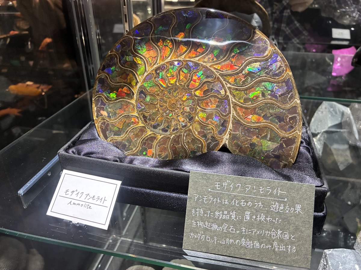 grandman0's tweet photo. 宝石さがし
#SAGASO #石の博物館 https://t.co/fMHvevPPzM