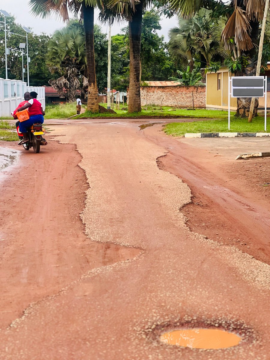 Marvin🪵Lule tweet media