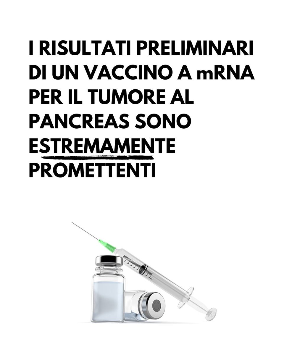 Aureliano Stingi PhD tweet media