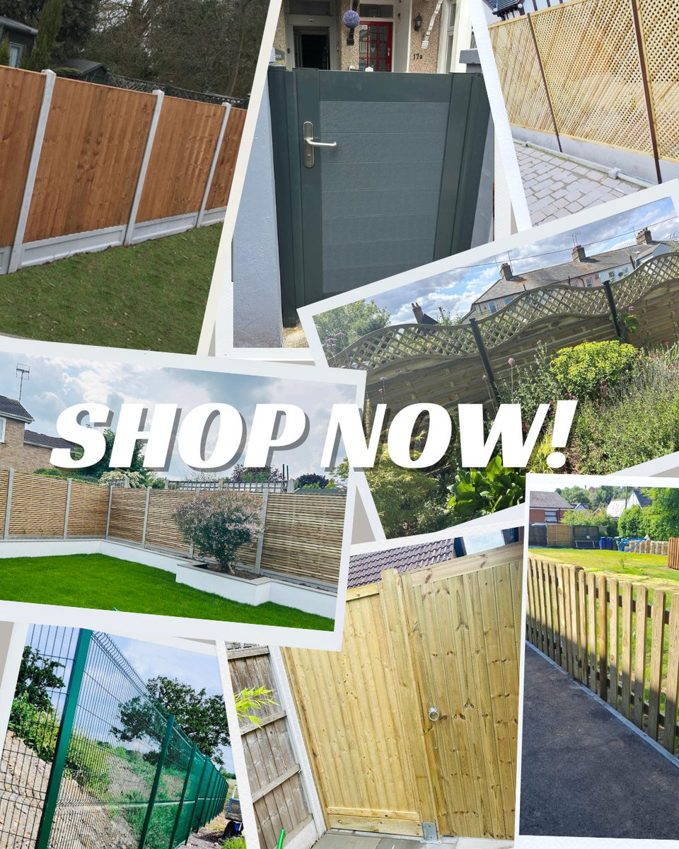 Lemon Fencing tweet media