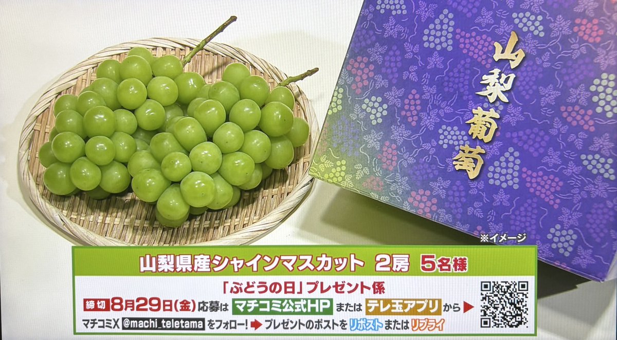 machi_teletama's tweet photo. 8月23日 &amp; 9月23日は #ぶどうの日
フルーツ王国山梨では
生産量日本一のブドウが
旬を迎えています🍇
そこで「ＪＡグループ山梨」より
山梨県産のシャインマスカット2房を
5名様にプレゼント🎊

☀️応募方法 ☀️
@machi_teletamaをフォロー🍇
このポストを引用リポストかリプラ���
締切は8/29(金)中 https://t.co/uzgmly3ppP