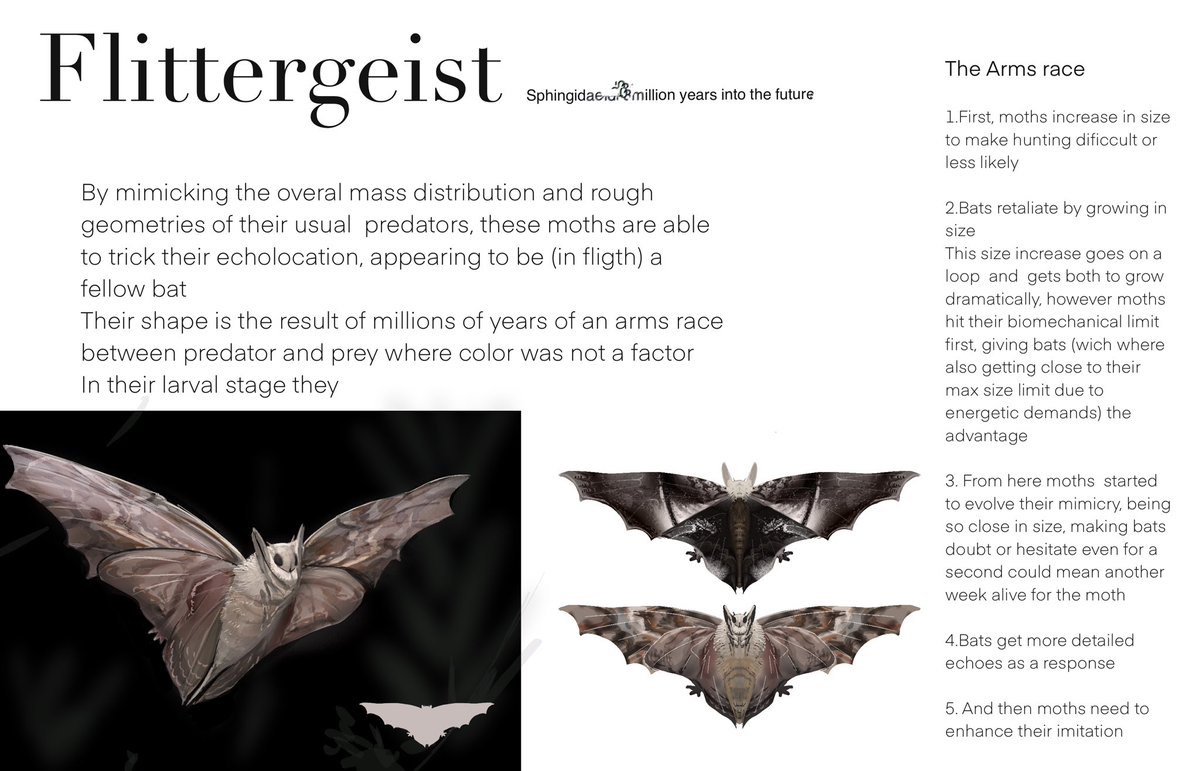Flitttergeist,an unusual lepidopteran from the future, mimicking bats to deter predation attempts

Set on the universe of #thefutureiswild so, fan-art ? Maybe 
Anyhow it is 
#speculativeevolution