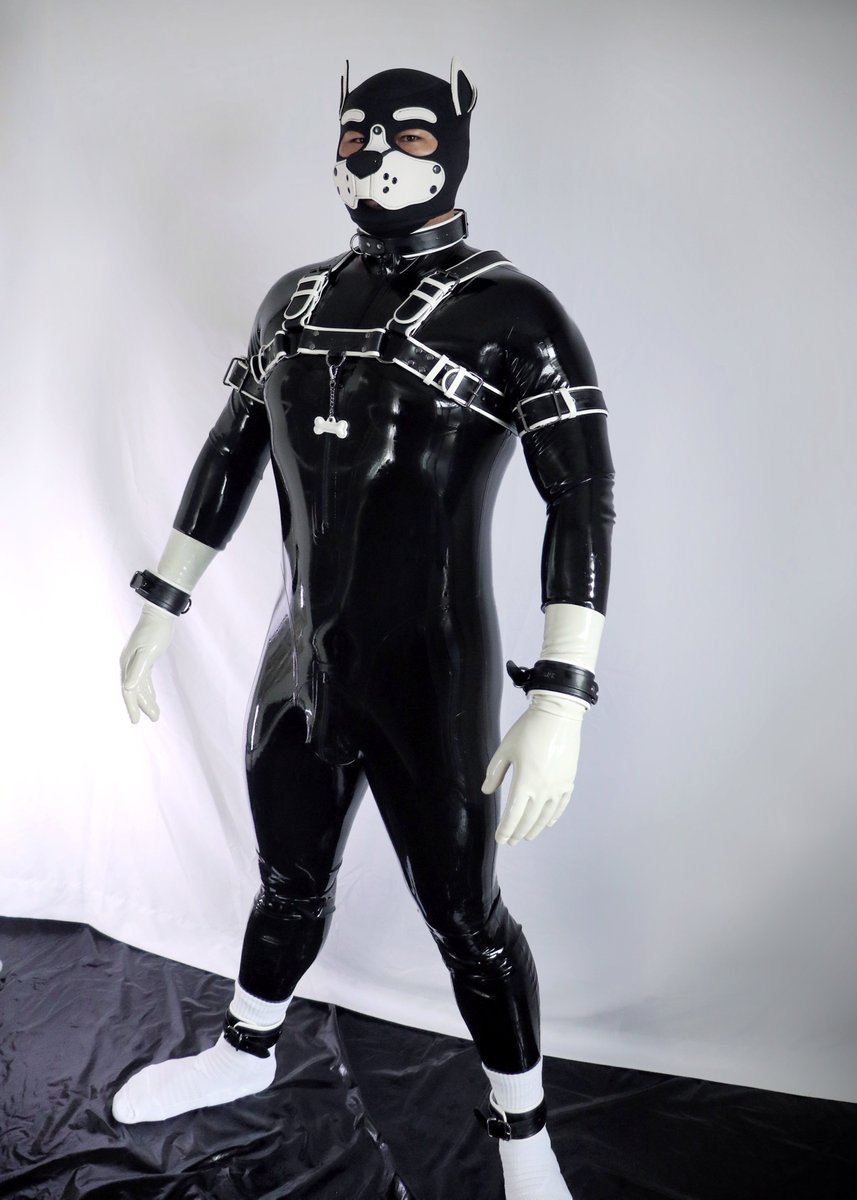 ⛓️:<a href="/GibbonBlack_EN/">GibbonBlack</a>