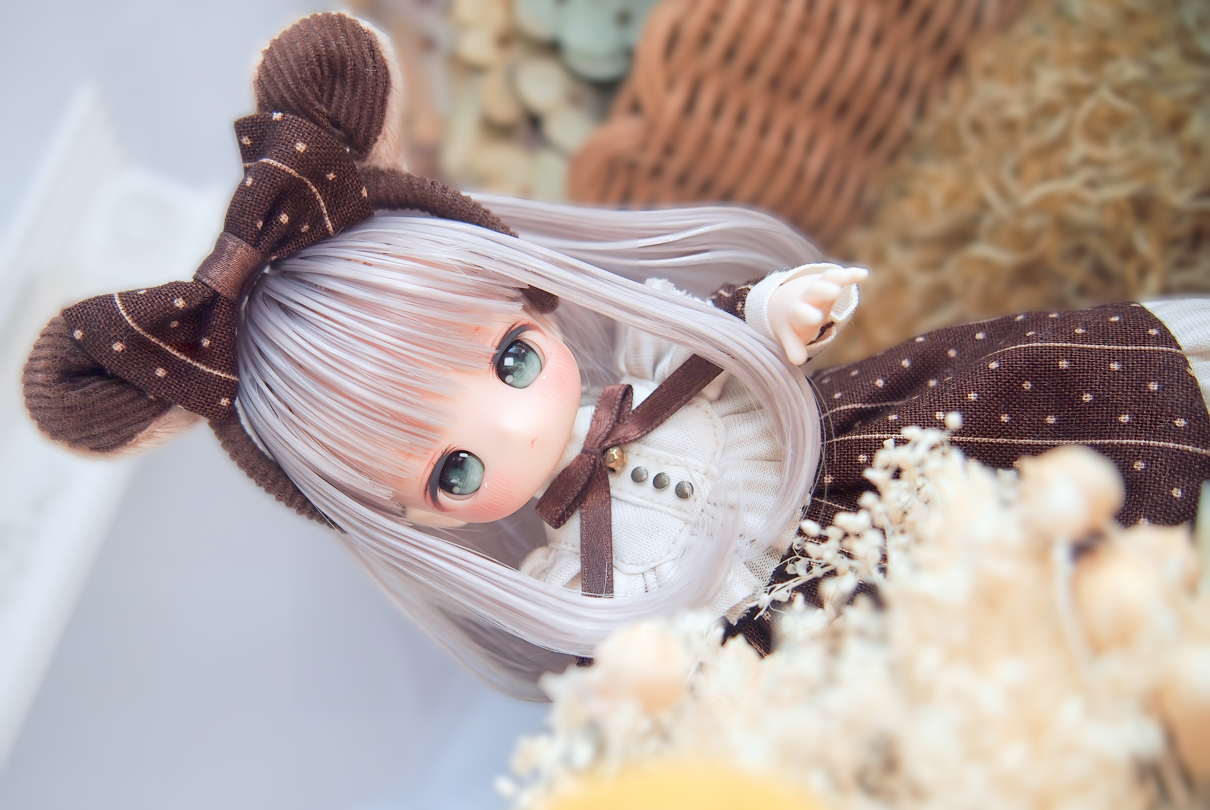 生後15日♡子猫のくりーむちゃん♡お腹ぽっこり♡アートドール♡ぬいぐるみ♡ ALL ITEM | Hermeow's Shop