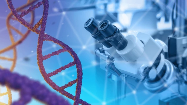 Stella_Green_'s tweet photo. DeSci is the reset of biotech.

BIO SYNQ DAO is creating a new way to fund and own innovation:
🔬 Tokenized IP as real-world assets
💡 AI-powered research acceleration
🌐 Cross-chain liquidity + governance
Built for lasting impact.
$BIOS isn’t a flip — it’s the future of science.

Join the community - https://t.co/mVimJ6Xd5Q

#DeSci #Crypto #Biotech #Web3 #AI #Blockchain #Innovation #BIOS