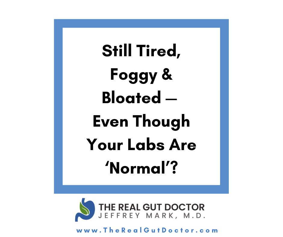 therealgutdoc's tweet photo. In my 60-min masterclass, you’ll uncover:
✅ The gut-brain glitch that keeps you foggy, fatigued, &amp; off
✅ Why “normal” labs miss the root cause — 
✅ Overlooked therapies that help smart, successful people finally get their life back
If your gut is off, your whole life is off. https://t.co/4wj4up1nmG