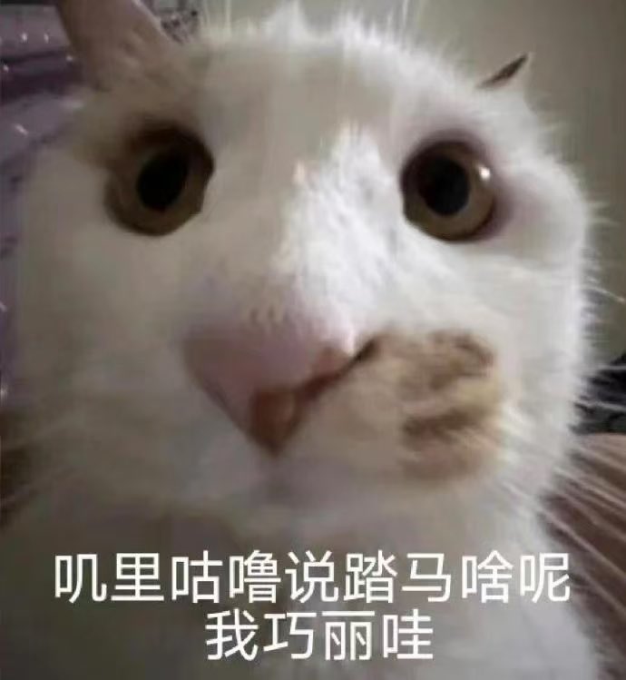 呆 tweet media