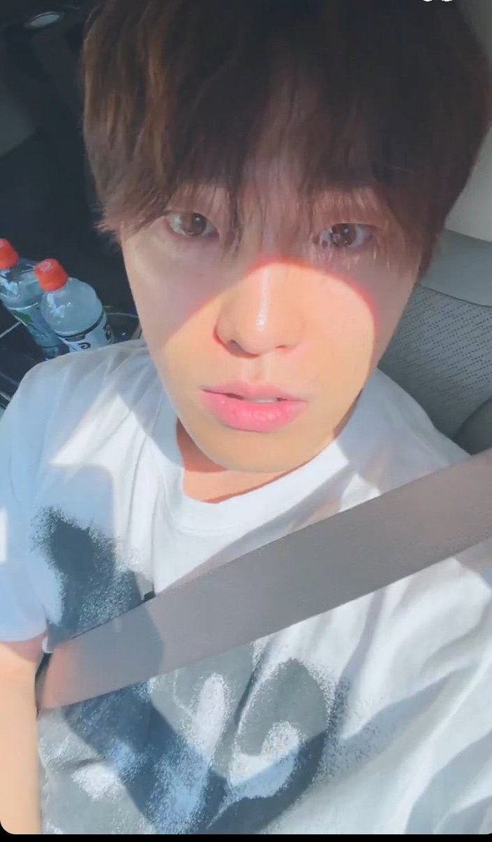 그니까 ..
세븐틴은 늘 디노를 이렇게 보고 잇엇을거아냐 
아 부러워 아 배아파