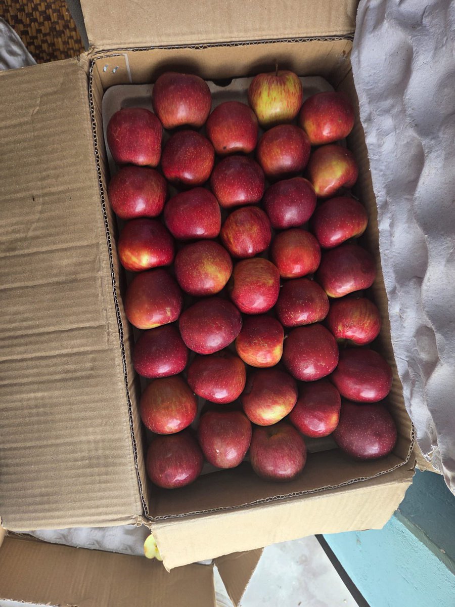 Dehradun to Dubai 🍎

First trial shipment of 1.2 MT of our #Swadeshi Garhwali apples from Pauri sent to the UAE market.

Farmers from Uttarakhand will reap more profits for their hard work as demand surges.

📖 pib.gov.in/PressReleasePa…