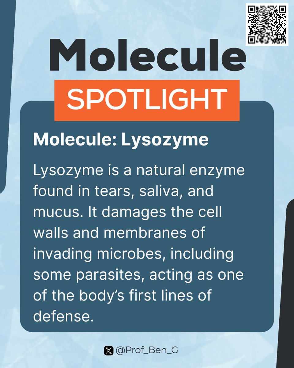 Prof_Ben_G's tweet image. Molecule Spotlight: Lysozyme

It’s a reminder that our bodies are equipped with powerful molecular “weapons” working silently to keep infections in check.

#ParasiteWatch #MoleculeSpotlight #Lysozyme #Parasitology #Immunology #GlobalHealth #InfectiousDiseases #SciComm