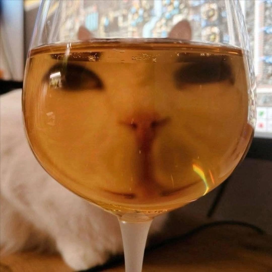 Ermiukas tweet media